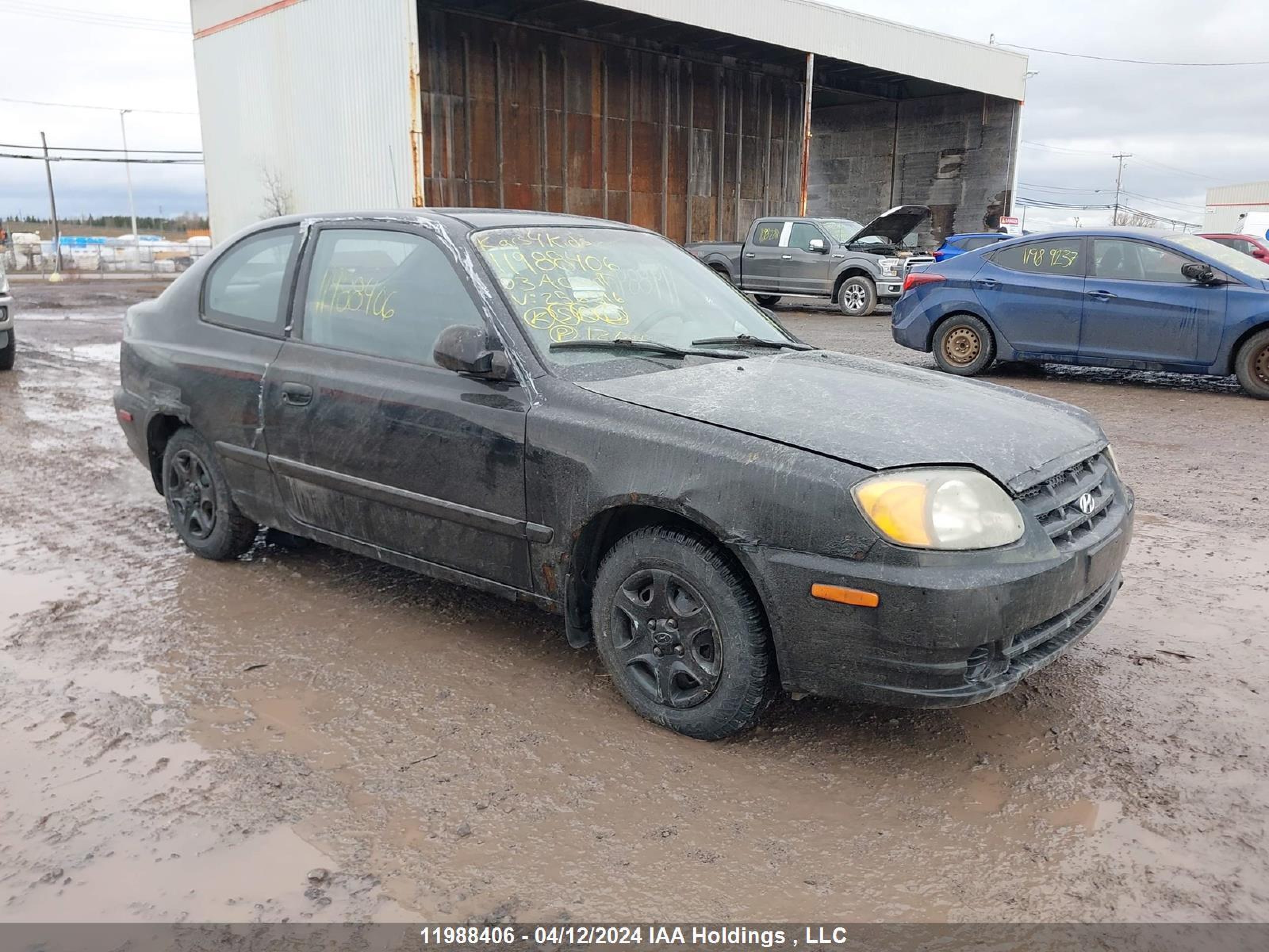 HYUNDAI ACCENT 2003 kmhcg35g73u256516