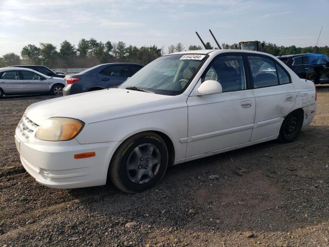 HYUNDAI ACCENT 2004 kmhcg45c34u520531