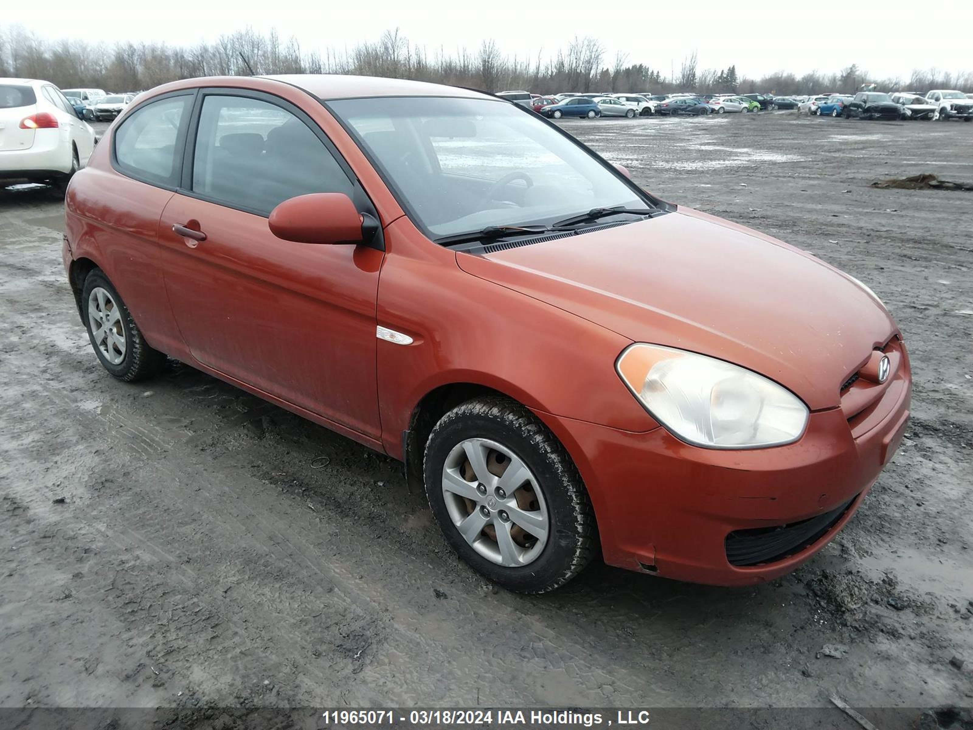 HYUNDAI ACCENT 2009 kmhcn35c19u136304