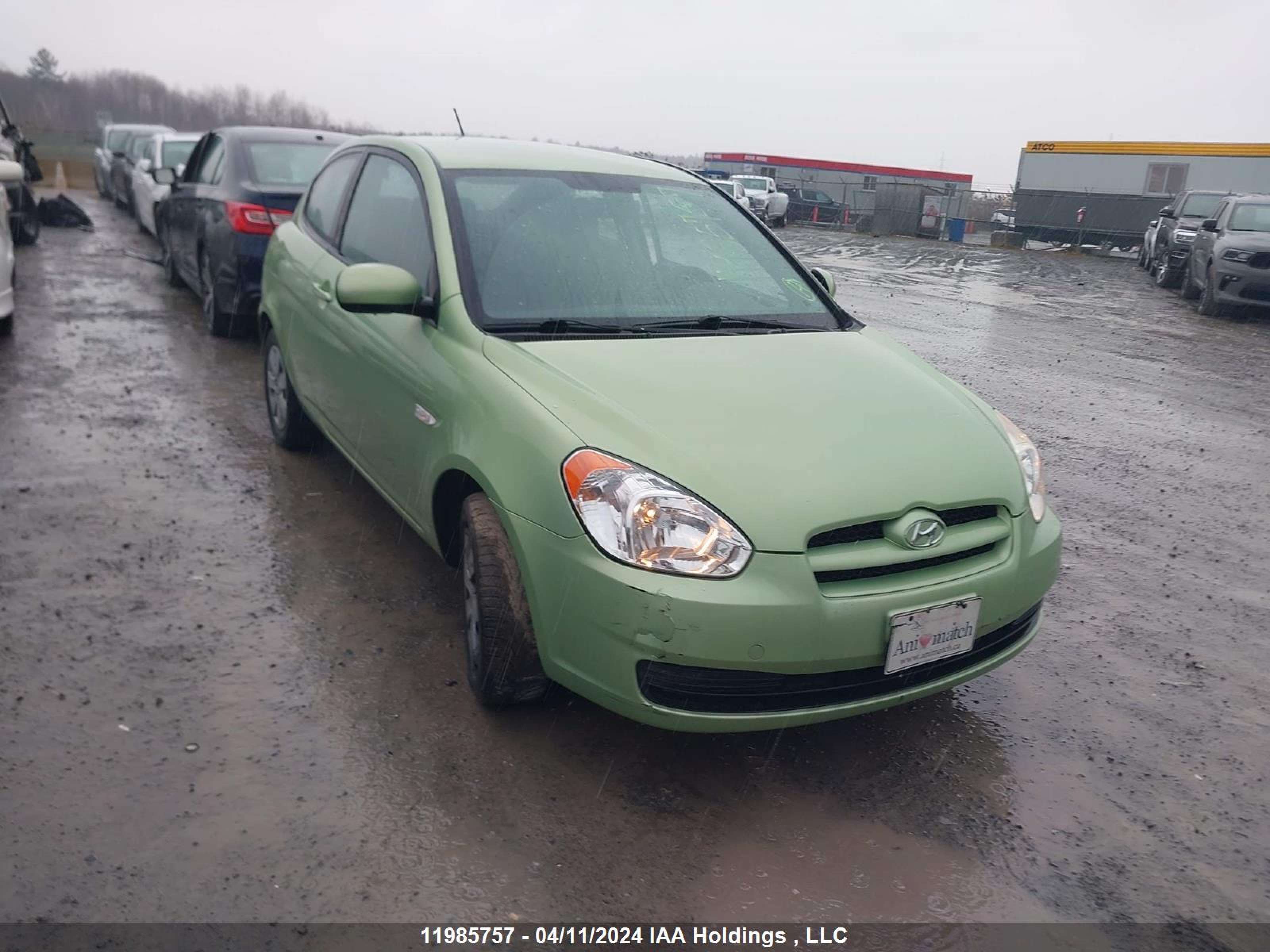 HYUNDAI ACCENT 2010 kmhcn3bc8au183449