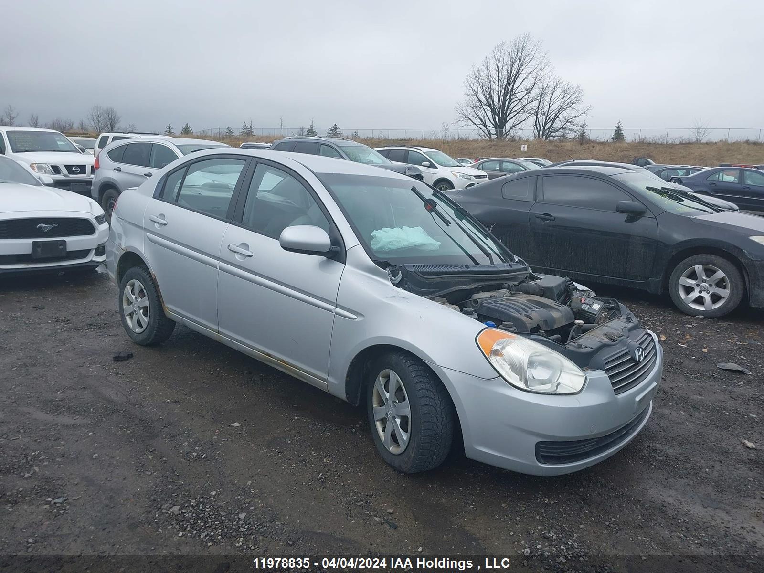 HYUNDAI ACCENT 2010 kmhcn4bc0au401132