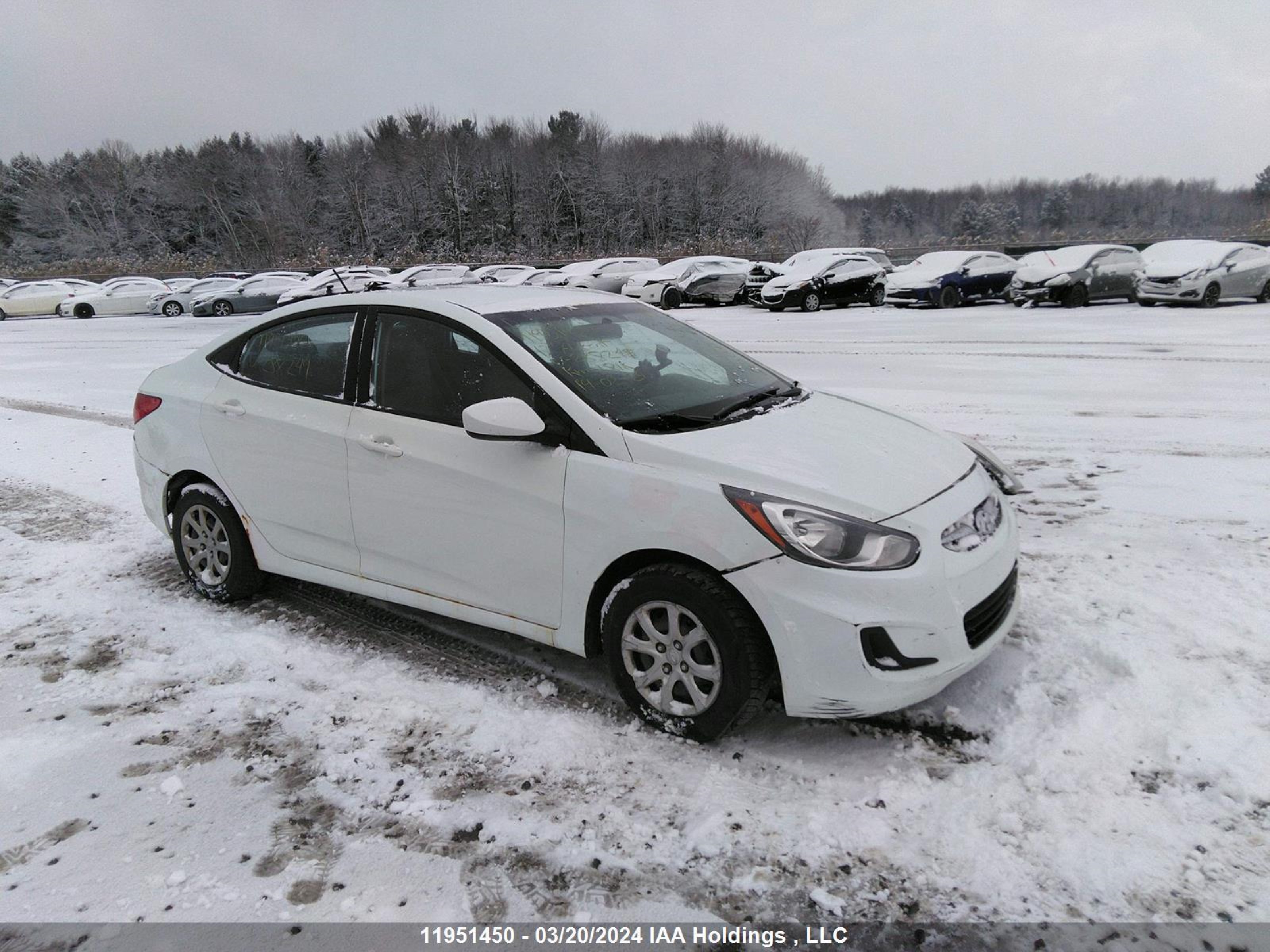 HYUNDAI ACCENT 2013 kmhct4ae6du288249