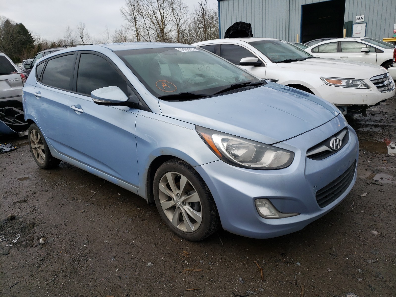 HYUNDAI ACCENT 2013 kmhcu5ae8du109325