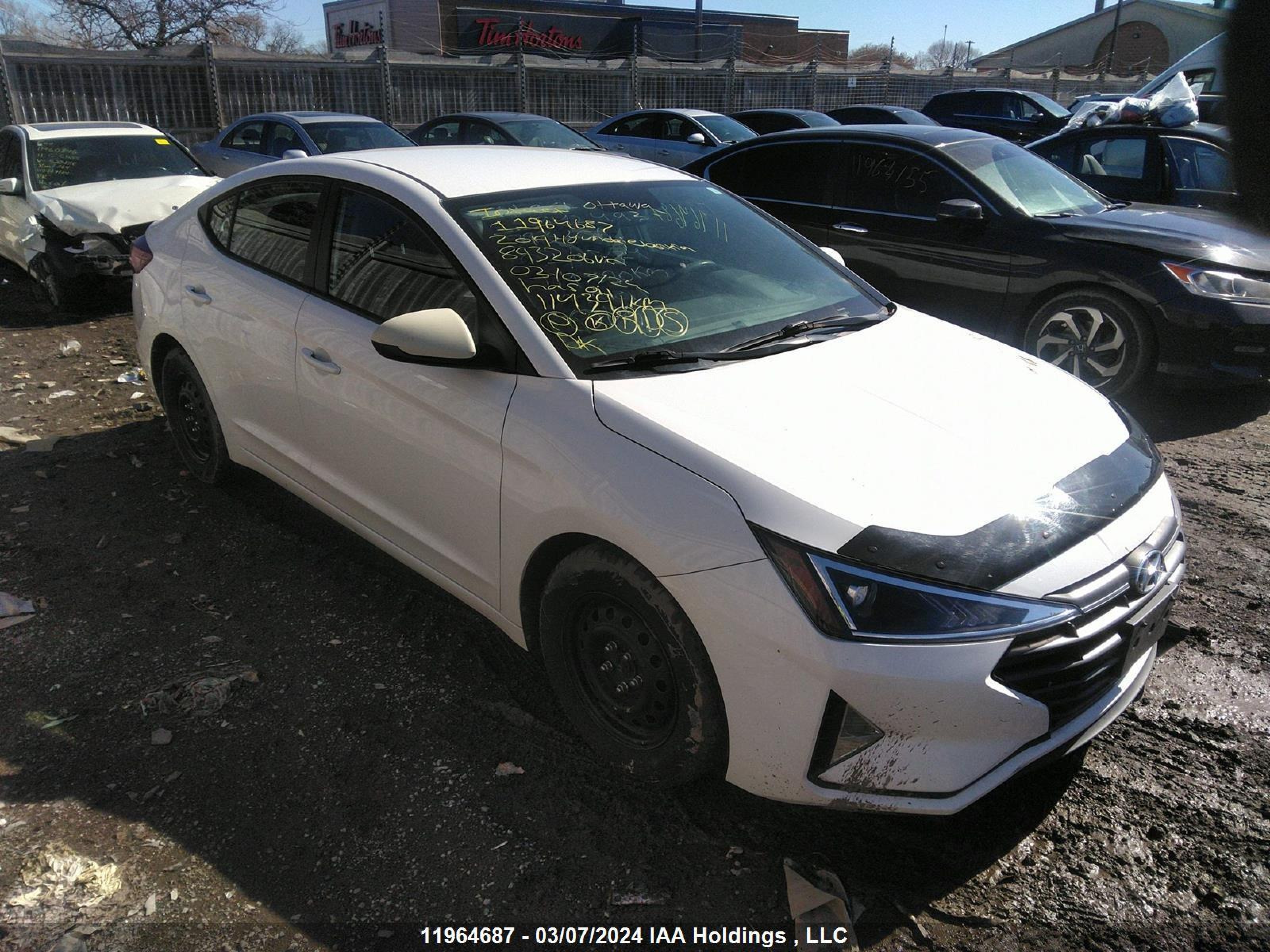 HYUNDAI ELANTRA 2019 kmhd74lf6ku893206