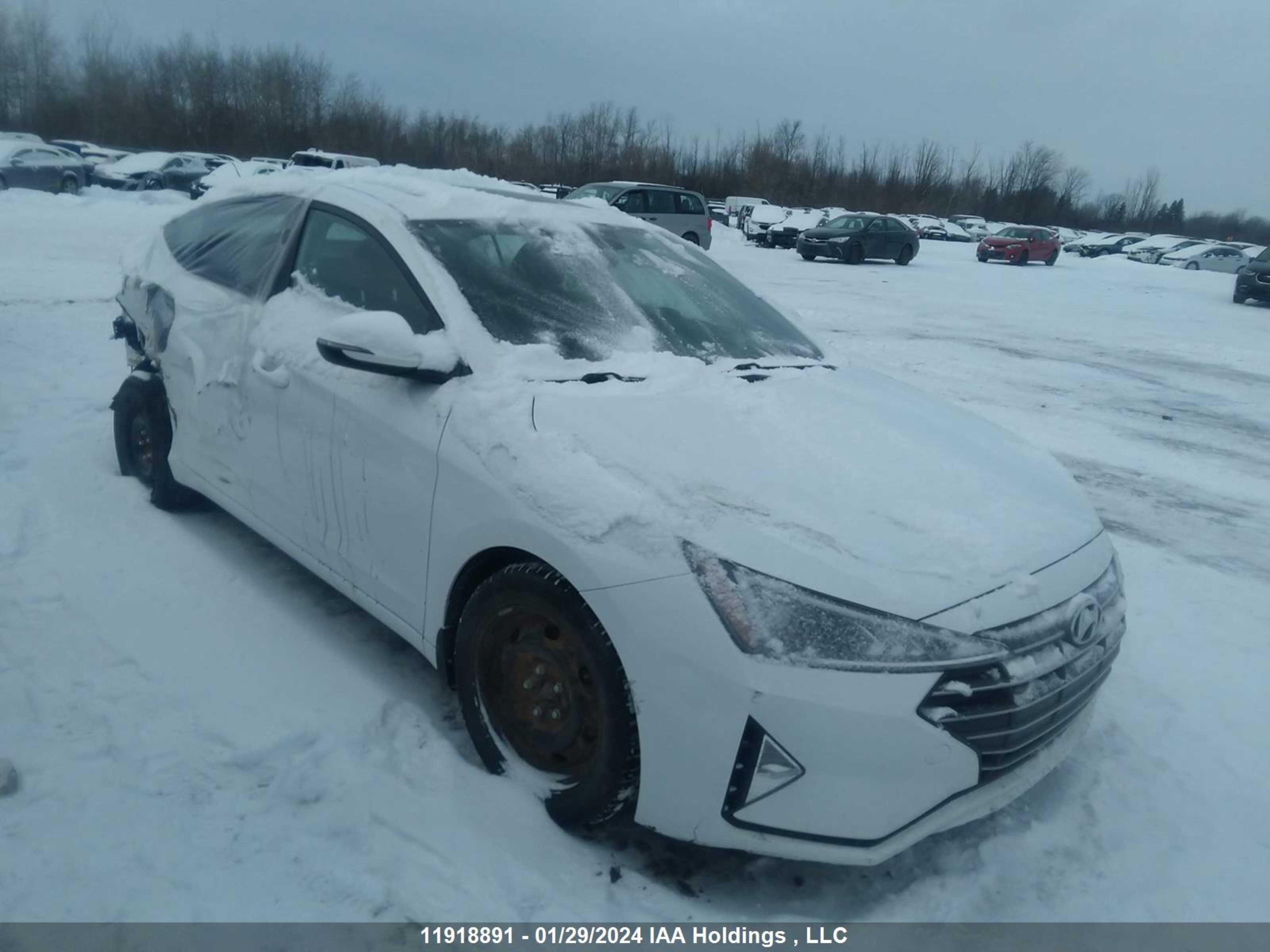 HYUNDAI ELANTRA 2020 kmhd84lf2lu108856