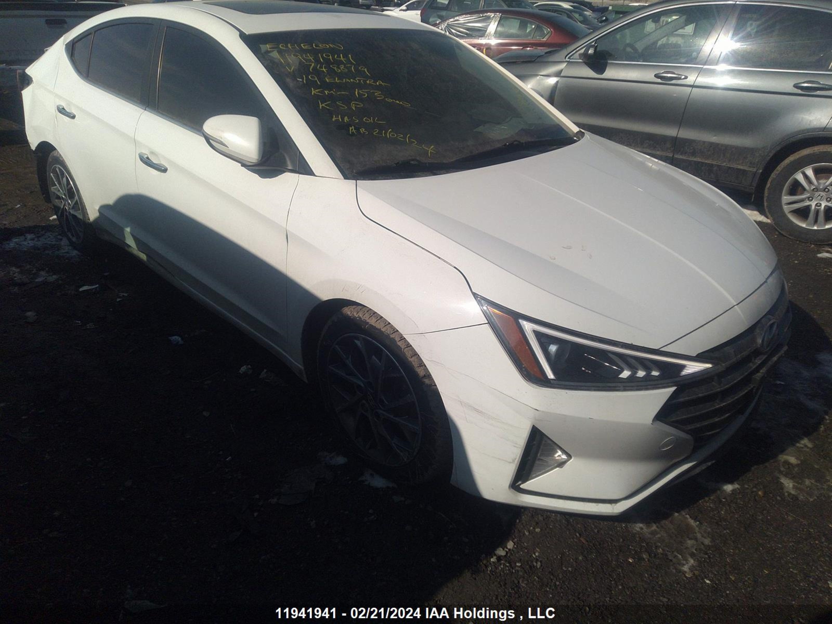 HYUNDAI ELANTRA 2019 kmhd84lf5ku748879