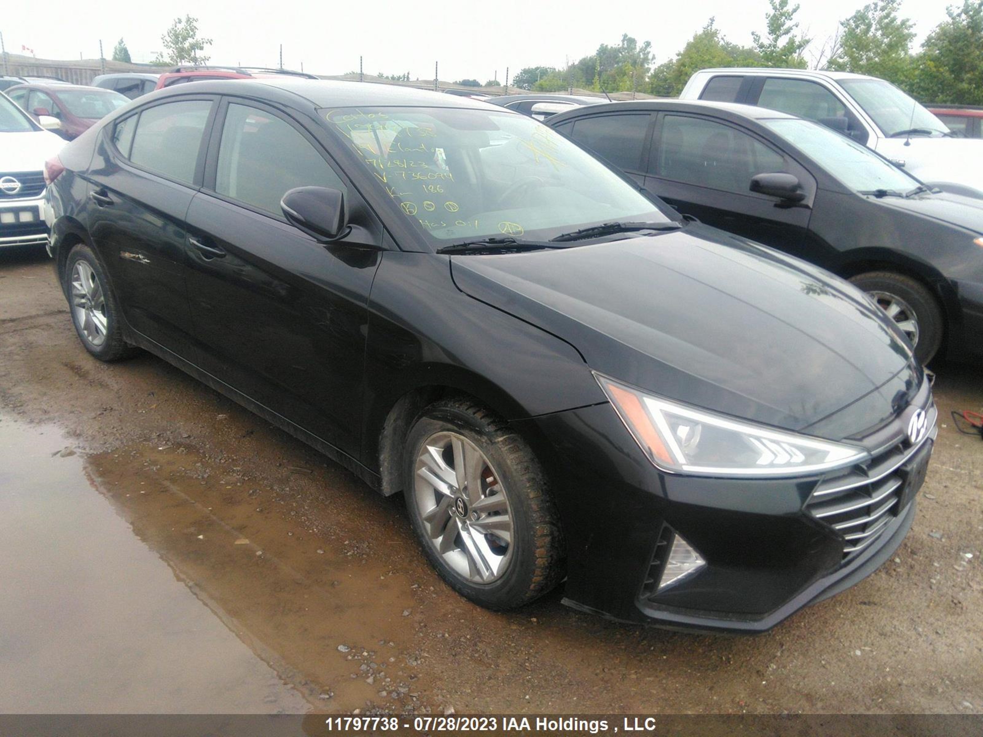 HYUNDAI ELANTRA 2019 kmhd84lf8ku736094