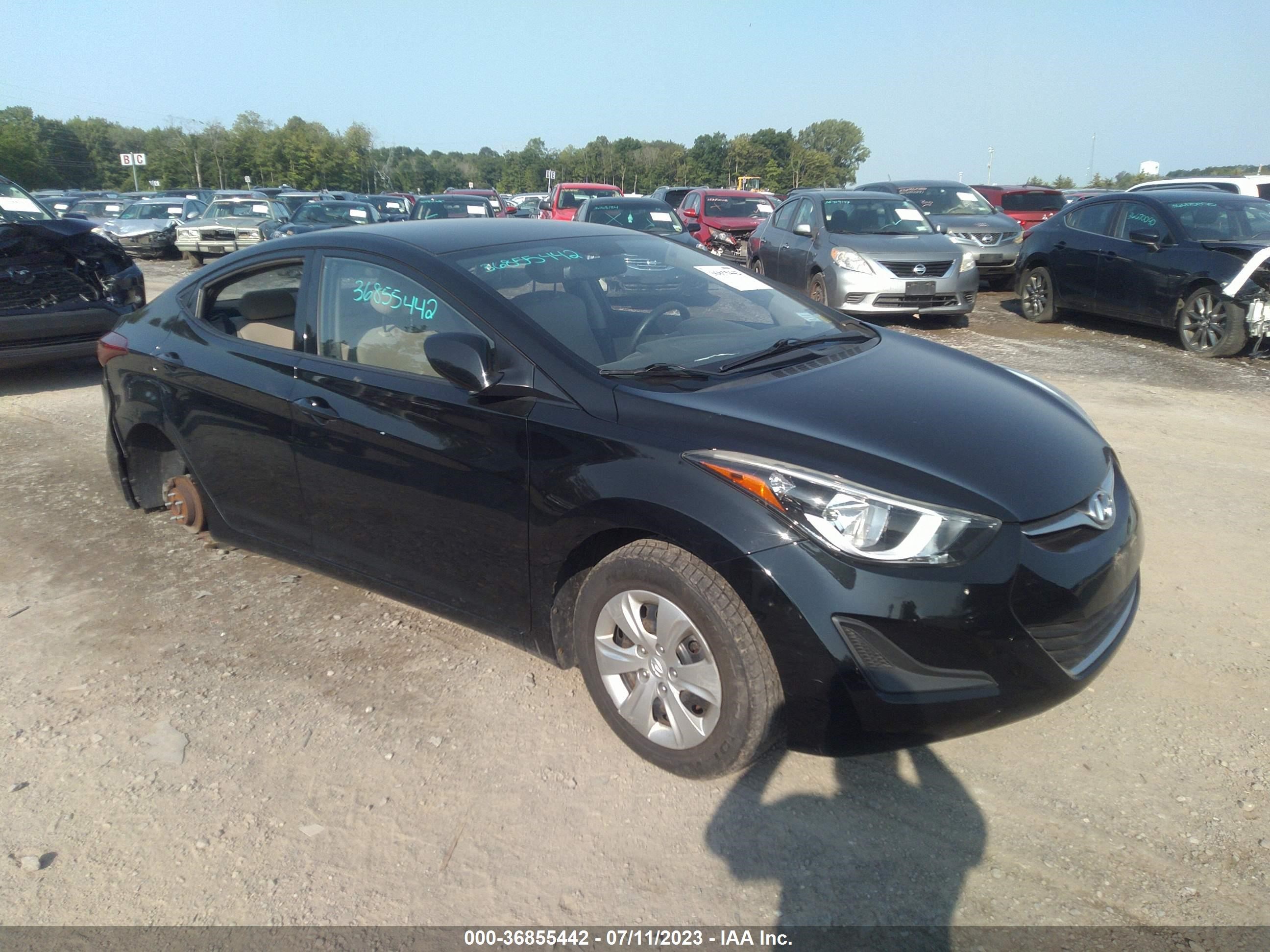 HYUNDAI ELANTRA 2016 kmhdh4ae1gu501537