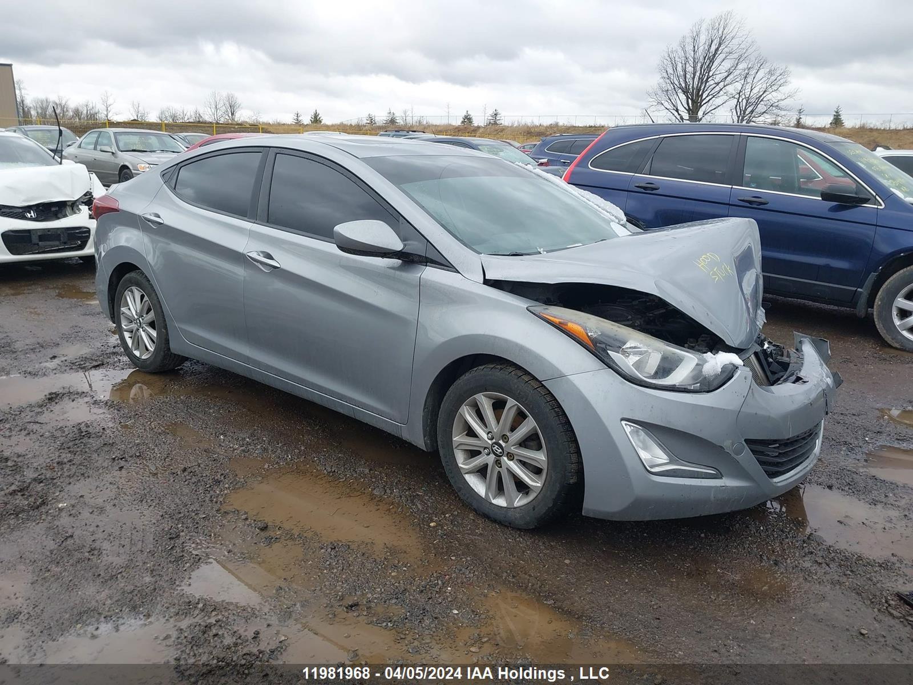 HYUNDAI ELANTRA 2015 kmhdh4ae2fu335950