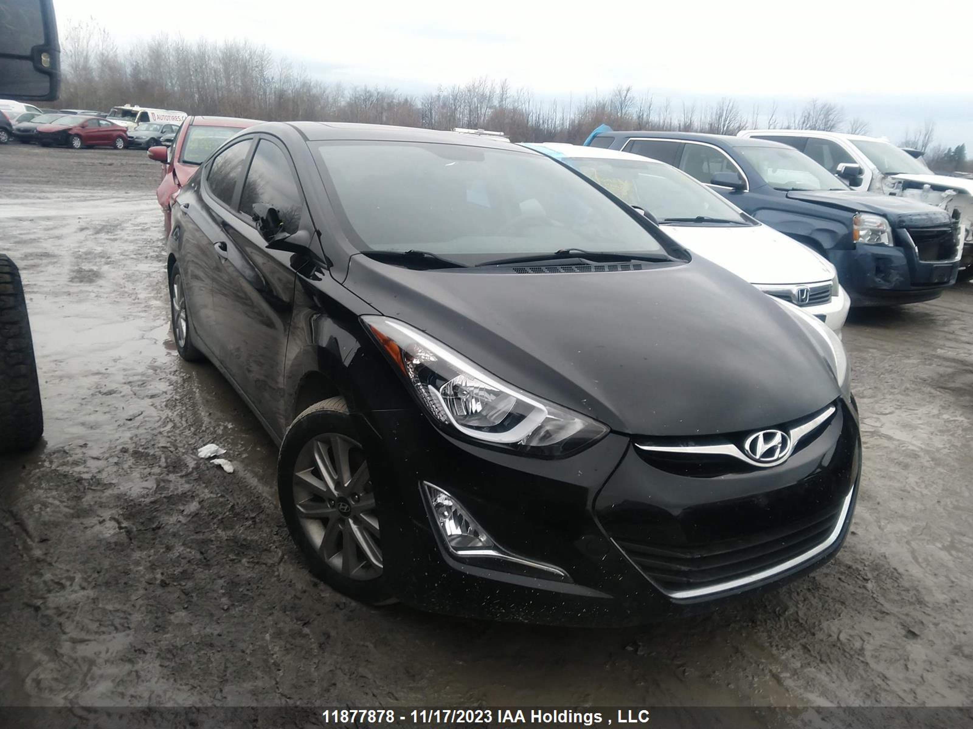 HYUNDAI ELANTRA 2016 kmhdh4ae4gu613085