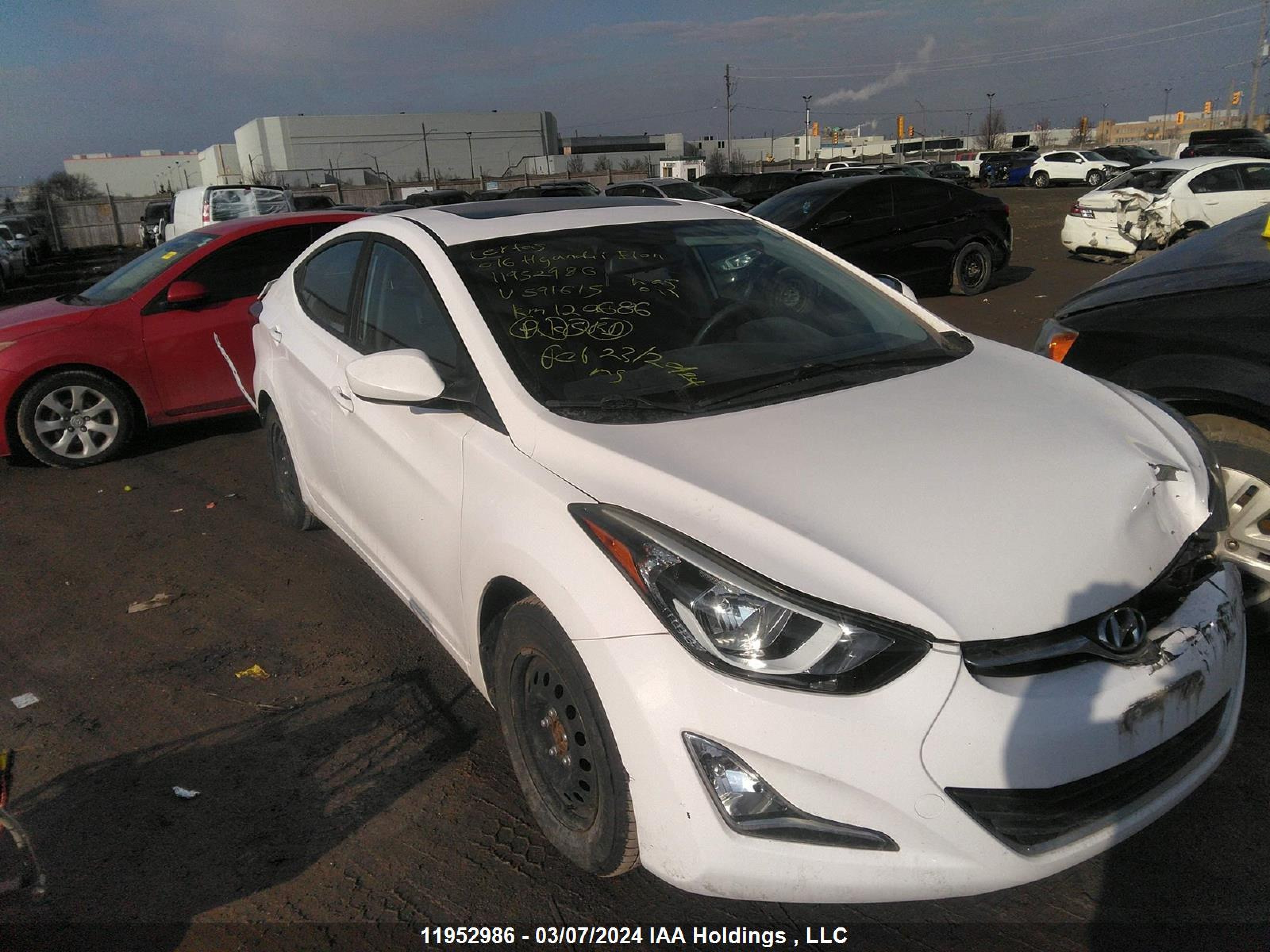 HYUNDAI ELANTRA 2016 kmhdh4ae5gu591615