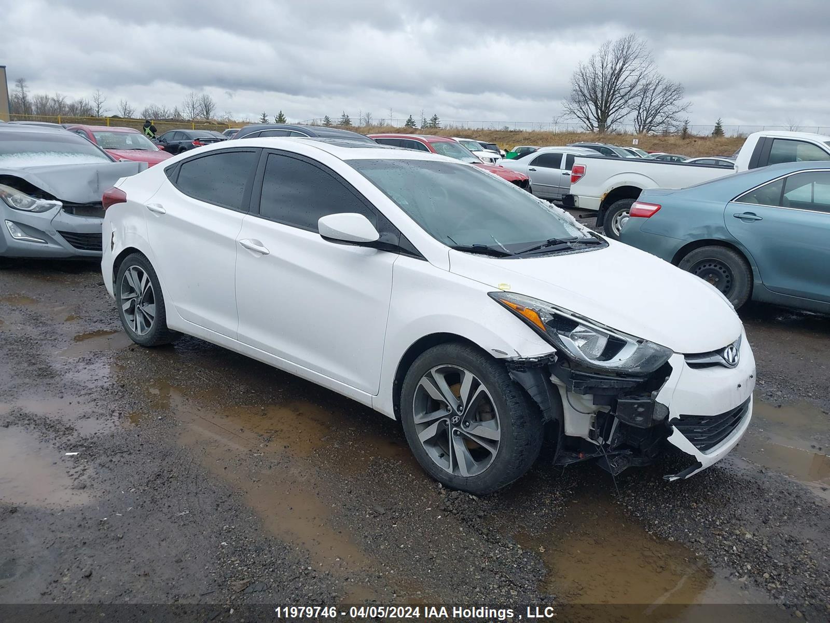 HYUNDAI ELANTRA 2016 kmhdh4ah1gu549887