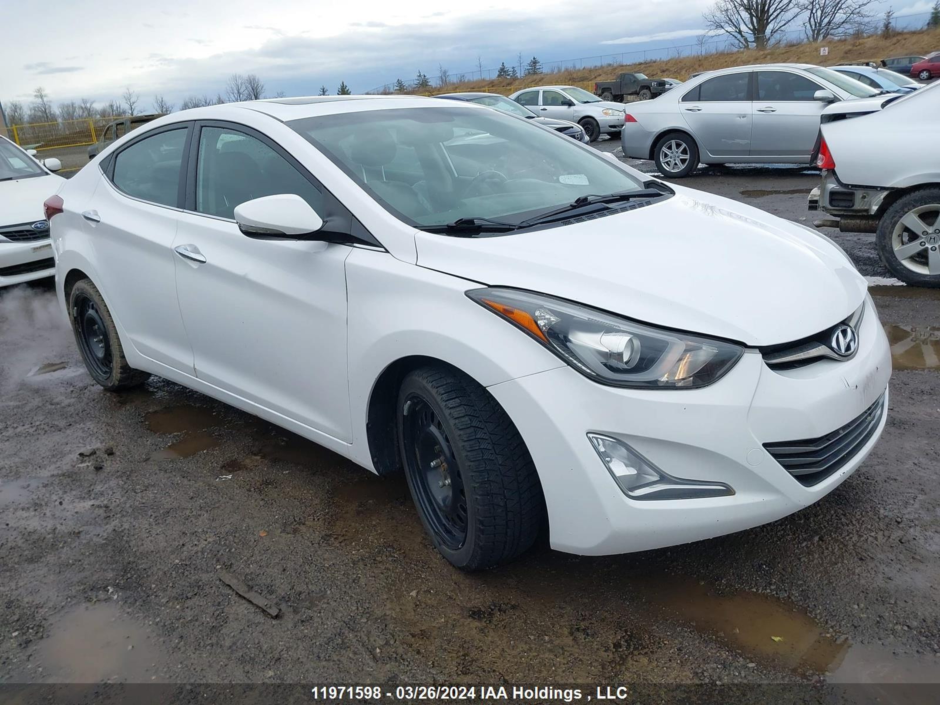 HYUNDAI ELANTRA 2014 kmhdh4ah8eu118704