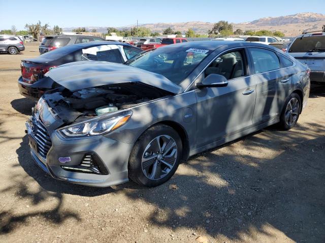 HYUNDAI SONATA PLU 2019 kmhe14l24ka093511