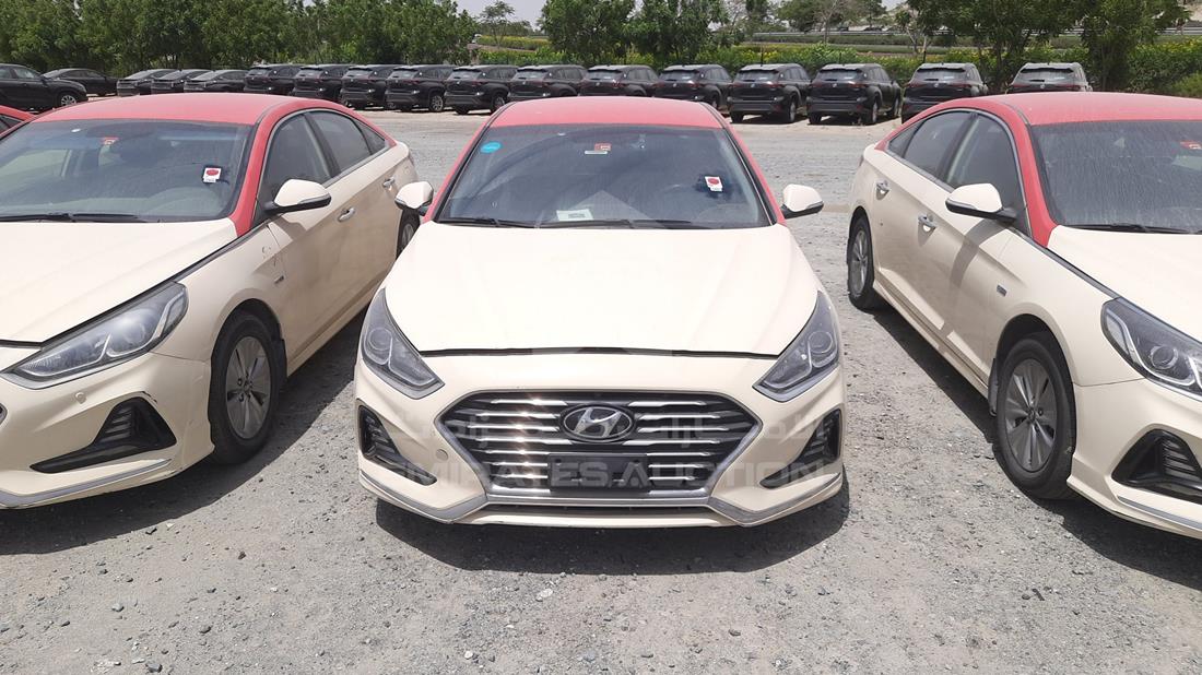 HYUNDAI SONATA 2019 kmhe2413xka093022