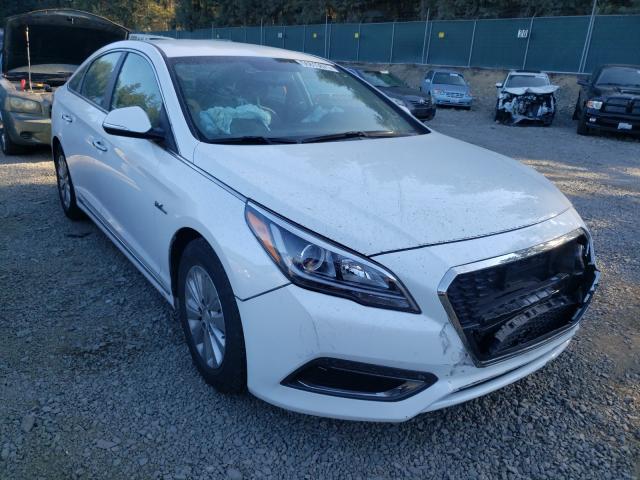 HYUNDAI SONATA HYB 2016 kmhe24l10ga013634