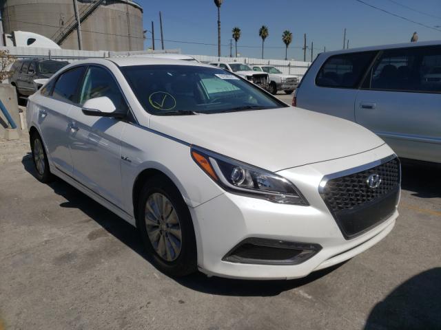 HYUNDAI SONATA HYB 2016 kmhe24l10ga013942