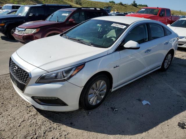 HYUNDAI SONATA 2016 kmhe24l11ga010872