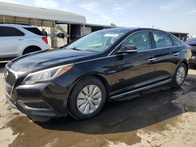 HYUNDAI SONATA HYB 2016 kmhe24l11ga011374