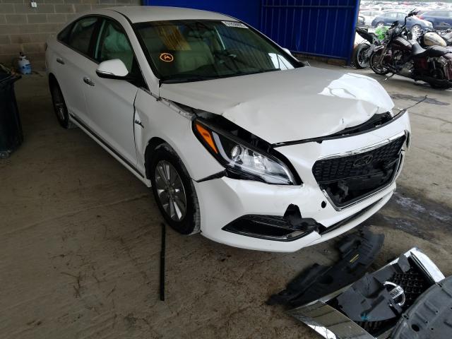 HYUNDAI SONATA HYB 2016 kmhe24l11ga018485