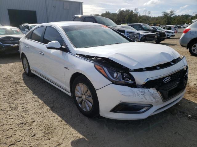 HYUNDAI SONATA HYB 2016 kmhe24l11ga040454