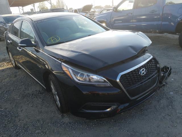 HYUNDAI SONATA HYB 2016 kmhe24l12ga012159