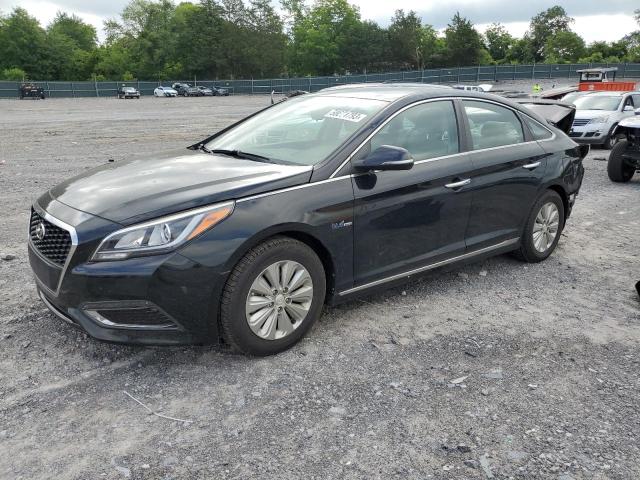 HYUNDAI SONATA HYB 2016 kmhe24l12ga013280