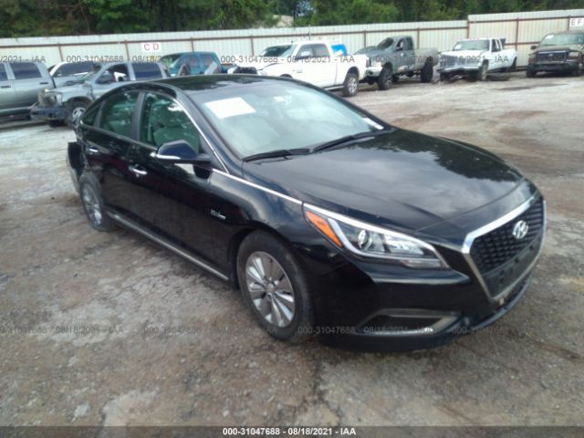 HYUNDAI SONATA HYBRID 2016 kmhe24l12ga039376