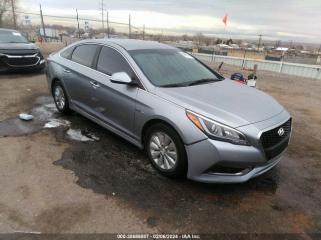 HYUNDAI SONATA HYBRID 2016 kmhe24l13ga008881