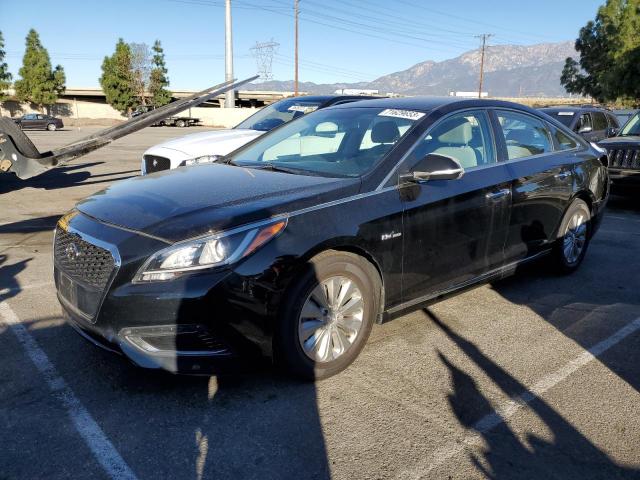 HYUNDAI SONATA 2016 kmhe24l14ga011949