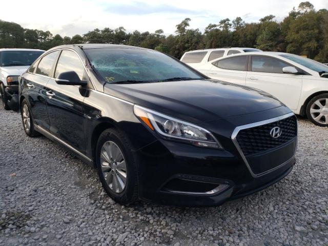 HYUNDAI SONATA HYB 2016 kmhe24l15ga014584