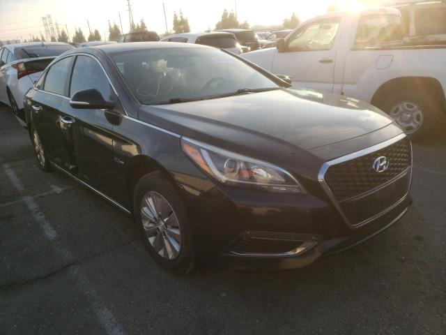 HYUNDAI SONATA HYB 2016 kmhe24l15ga025603