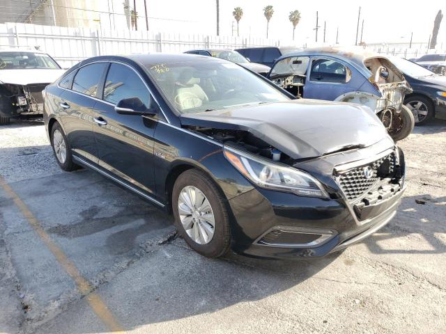 HYUNDAI SONATA HYB 2016 kmhe24l16ga013184