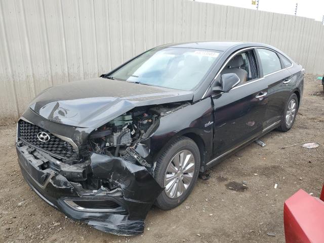 HYUNDAI SONATA HYB 2016 kmhe24l17ga013422