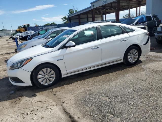 HYUNDAI SONATA HYB 2016 kmhe24l17ga013677