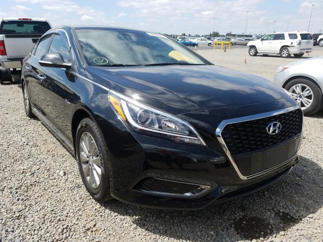 HYUNDAI SONATA HYB 2016 kmhe24l17ga021813