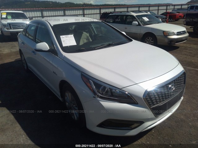 HYUNDAI SONATA HYBRID 2016 kmhe24l18ga014837