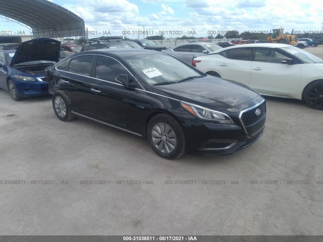 HYUNDAI SONATA HYBRID 2016 kmhe24l19ga015897