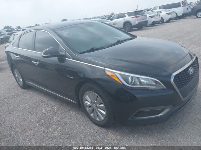 HYUNDAI SONATA HYBRID 2016 kmhe24l19ga039391