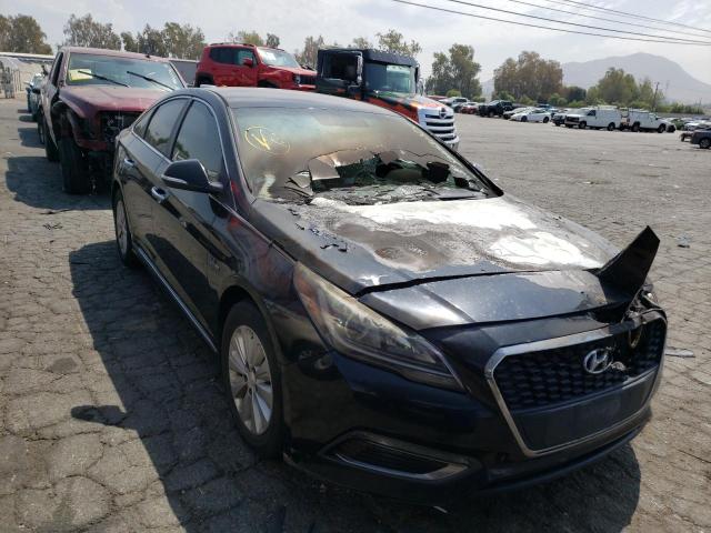 HYUNDAI SONATA HYB 2016 kmhe24l1xga009252