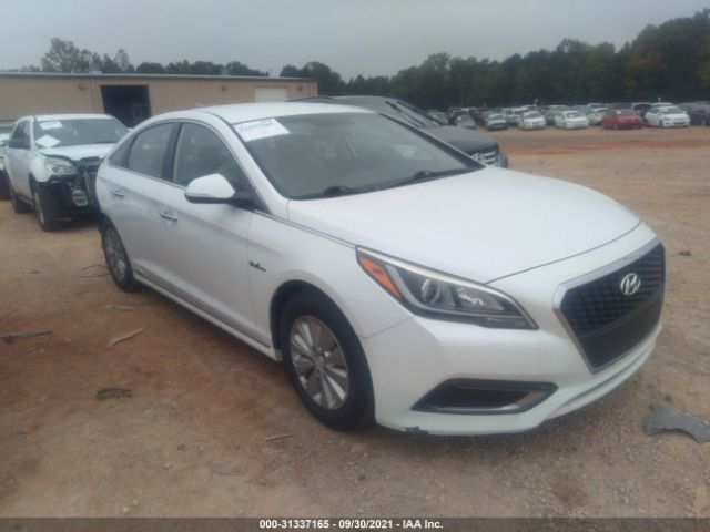 HYUNDAI SONATA HYBRID 2016 kmhe24l1xga011552