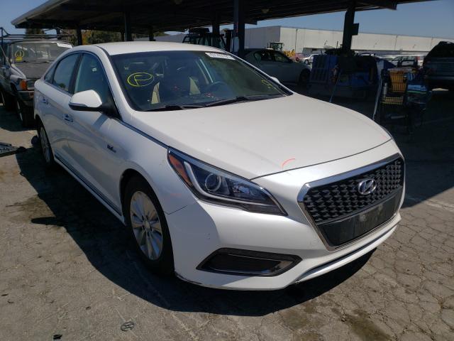 HYUNDAI SONATA HYB 2016 kmhe24l1xga011647