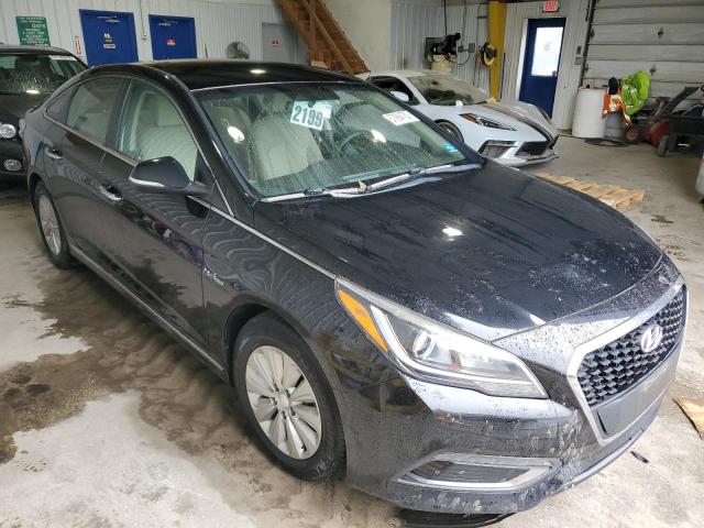 HYUNDAI SONATA HYB 2016 kmhe24l1xga015259