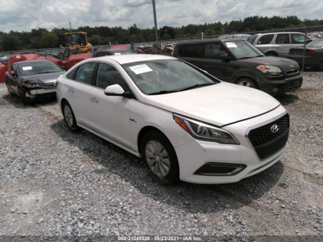 HYUNDAI SONATA HYBRID 2016 kmhe24l1xga023491