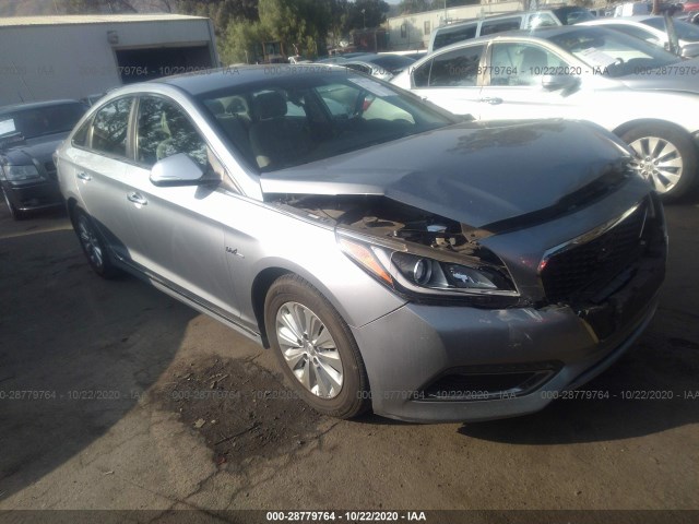 HYUNDAI SONATA HYBRID 2016 kmhe24l1xga029646