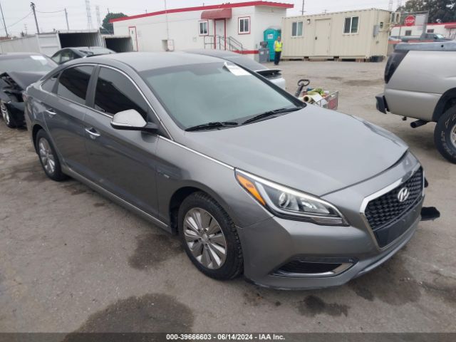 HYUNDAI SONATA 2017 kmhe24l31ha062313