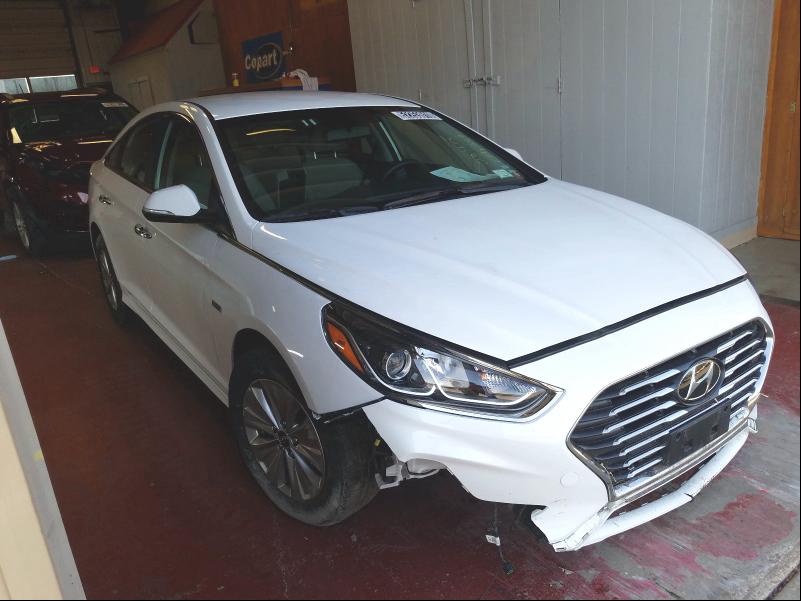 HYUNDAI SONATA HYB 2019 kmhe24l31ka091799