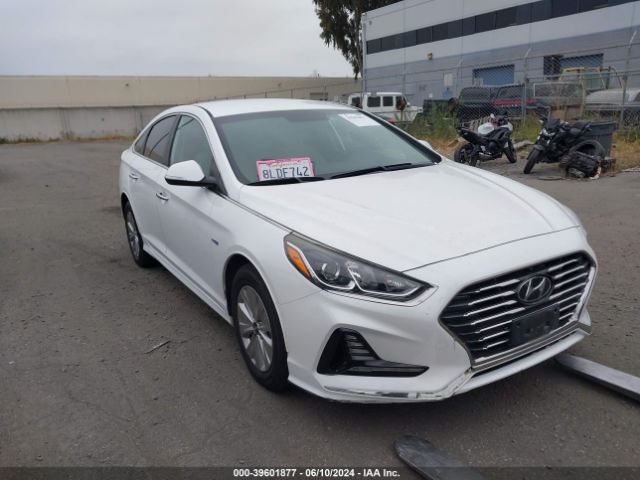 HYUNDAI SONATA 2019 kmhe24l32ka091519