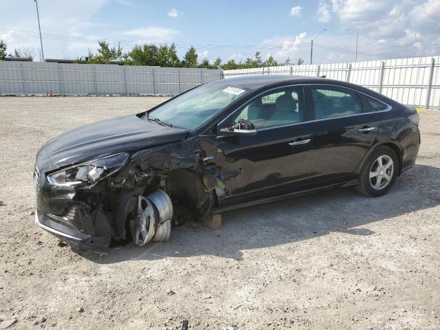 HYUNDAI SONATA HYB 2019 kmhe24l35ka093202