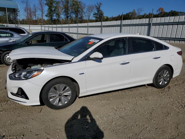 HYUNDAI SONATA 2019 kmhe24l37ka094125